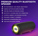ROYQUEEN Bluetooth Speaker,30W Loud Stereo Sound Portable Speaker, Deep Bass, IP67 Waterproof and Dustproof, Wireless Dual Pairing, Built-in Mic, for Outdoor, Indoor-8