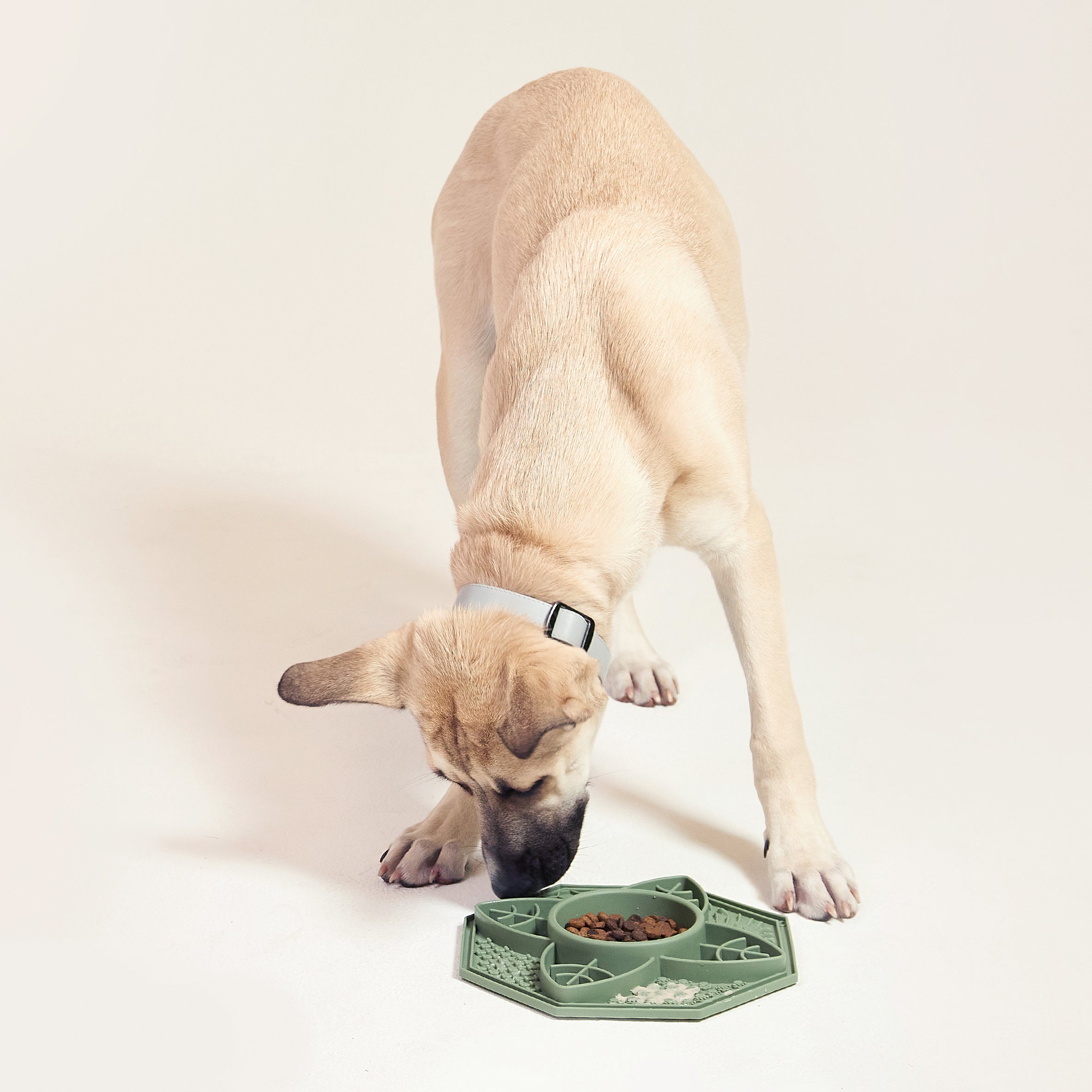 Flower Mandala Slow Feeder Lick Mat Bowl - Green - 0