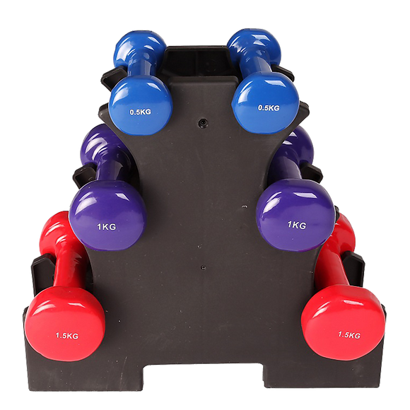 6-Piece Dumbbell Set with Storage Rack for Home Gym Training