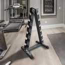 Steel Vertical Dumbbell Rack Weight Stand-2
