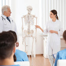 Human Skeleton Anatomical Model 180cm-1