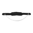 Dipping Dip Weight Lifting Belt-5