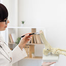 Life Size Foot Joint Anatomical Model Skeleton-5