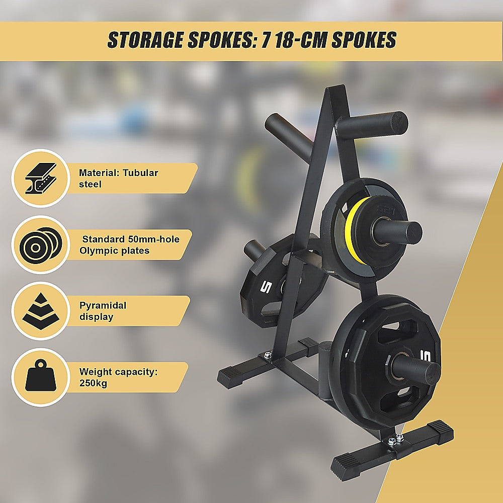 Olympic Weight Plate Storage Rack 250kg Capacity