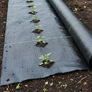 Heavy Duty Weed Control PP Woven Fabric Weed Mat Gardening Plant 1.83m x 30m-5