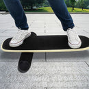 Balance Board Trainer with Stopper Wobble Roller-1