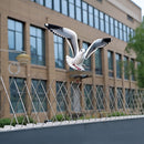 20x 50cm Bird Spike S304 wire Spikes Eaves Pigeon Gull Starling 10M-3