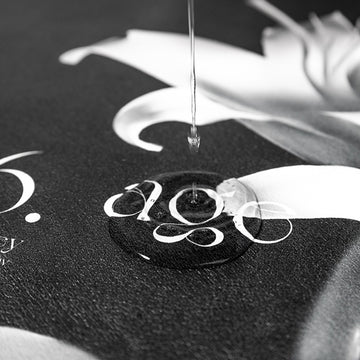 Elegant Floral Print Absorbent Floor Mat - Quick Dry, Non-Slip, Easy Clean Bathroom & Entryway Rug(Black and White) - 0