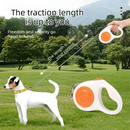 Blue 5M Automatic Retractable Dog Leash –Extendable Pet Lead with One-Button Brake Lock, Tangle-Free 360° Nylon Strap, Durable ABS Housing for Dogs and Puppies-5
