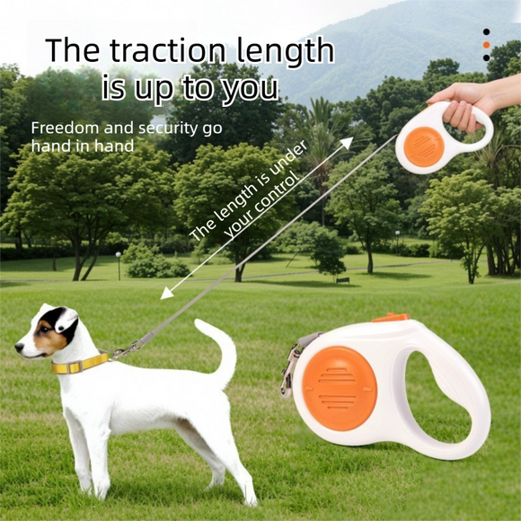 Blue 5M Automatic Retractable Dog Leash –Extendable Pet Lead with One-Button Brake Lock, Tangle-Free 360° Nylon Strap, Durable ABS Housing for Dogs and Puppies