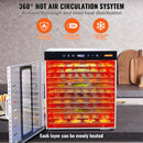 10 Trays Food Dehydrator Machine Stainless Steel 1000W Jerky Fruit Drying-6