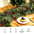 Jingle Jollys 3M Christmas Garland Pre-lit LED with Pine Cones Xmas Decor Green-4