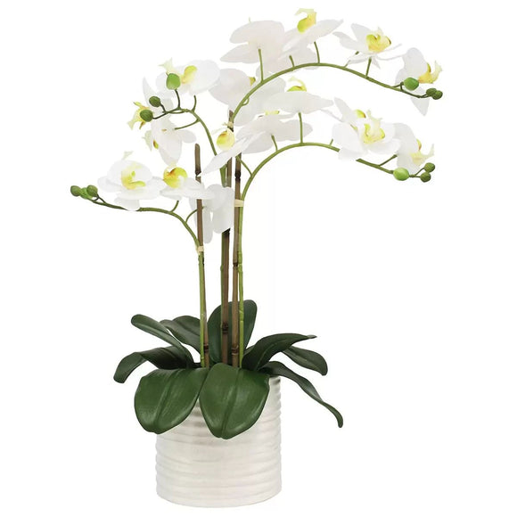 Artificial Orchid With Ribbed Pot 67cm - RnR Galore