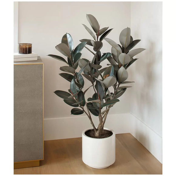 Artificial Rubber Tree 1.2M - RnR Galore