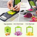 CARLA HOME Multifunctional Mandoline Vegetable Chopper 16 - in - 1 with Stainless Steel Blades, Storage Container & Hand Guard for Fruits & Veggies - RnR Galore