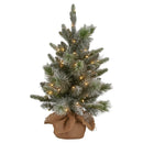 Christabelle 61cm Pre - Lit Snowy Stamford Spruce Battery - Operated Mini Christmas Tree Multi - Functional LED Timer - RnR Galore