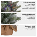 Christabelle 61cm Pre - Lit Snowy Stamford Spruce Battery - Operated Mini Christmas Tree Multi - Functional LED Timer - RnR Galore
