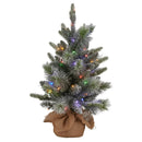 Christabelle 61cm Pre - Lit Snowy Stamford Spruce Battery - Operated Mini Christmas Tree Multi - Functional LED Timer - RnR Galore