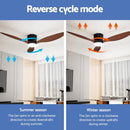 Devanti 52'' Ceiling Fan DC Motor w/Light w/Remote - Dark Wood - RnR Galore