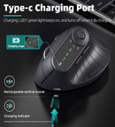 Ergonomic Vertical Mouse - 2.4G/Bluetooth Multi - Mode, LED Display, 57 - Degree Angle, & 400mAh Battery(Black) - RnR Galore