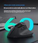 Ergonomic Vertical Mouse - 2.4G/Bluetooth Multi - Mode, LED Display, 57 - Degree Angle, & 400mAh Battery(Purple) - RnR Galore