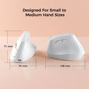 Ergonomic Vertical Mouse - Multi - Device Bluetooth5.0 & 2.4G Wireless, Adjustable DPI, Silent Click(pale pinkish gray) - RnR Galore