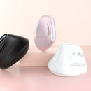 Ergonomic Vertical Mouse - Multi - Device Bluetooth5.0 & 2.4G Wireless, Adjustable DPI, Silent Click(Purple) - RnR Galore