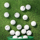 Everfit 60pcs Golf Ball Set Reusable Distance Golf Balls Practice Training - RnR Galore