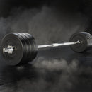 Everfit 88kg Barbell Set Weight Plates Bar Lifting Bench 168cm - RnR Galore