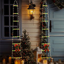 Festive Climbing Santa LED Ladder Light - USB Powered Outdoor Christmas Hanging Decoration with Remote(3m) - RnR Galore