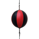 Floor to Ceiling Ball Boxing Punching Bag – Speed Reaction Training Equipment - RnR Galore