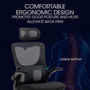 FORTIA Ergonomic Office Desk Chair, Lumbar Support, Mesh Fabric, Adjustable Headrest, Retractable Armrests, Black - RnR Galore