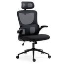FORTIA Ergonomic Office Desk Chair, Lumbar Support, Mesh Fabric, Adjustable Headrest, Retractable Armrests, Black - RnR Galore