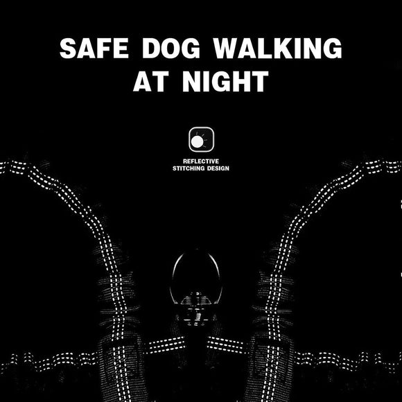Grey 3 - in - 1 Tangle - Free Dog Leash for 1 - 3 Dogs - Heavy Duty Bungee Coupler with Reflective Stitching & Padded Handle - RnR Galore