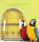 Grey Stylish Transparent PVC Pet Carrier Backpack - Large Capacity, Multi - Use for Birds & Cats(Including Wooden Stick) - RnR Galore