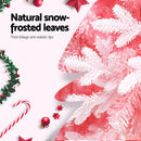 Jingle Jollys Christmas Tree 1.8m Pink Xmas Tree Snowy Party Decor 810 Tips - RnR Galore