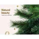 Jingle Jollys Christmas Tree 2.4M Xmas Tree Decorations Pine Needles 2100 Tips - RnR Galore