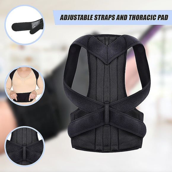 Lower Back Brace Unisex Posture Corrector Lumbar Support - Medium - RnR Galore