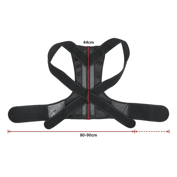 Lower Back Brace Unisex Posture Corrector Lumbar Support - Medium - RnR Galore