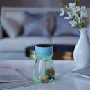 Micro Landscape Mini Humidifier, Cute USB Air Humidifier for Car & Personal Use - RnR Galore