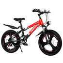 NNEOBA Children's Mountain Bike with Shock Absorption - RnR Galore