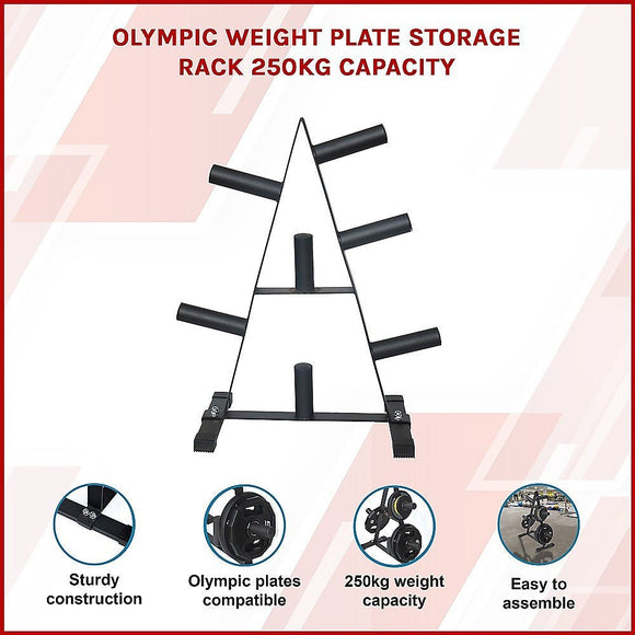 Olympic Weight Plate Storage Rack 250kg Capacity - RnR Galore