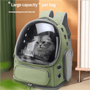 Spacious Pet Carrier with Ventilation System & Water - Resistant Design(black) - RnR Galore