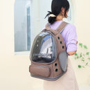 Spacious Pet Carrier with Ventilation System & Water - Resistant Design(blue) - RnR Galore