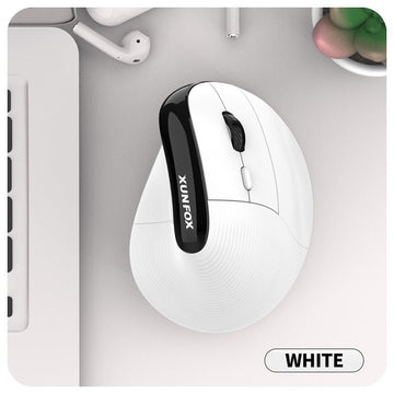 Two Ergonomic Vertical Wireless Mouse - Dual Mode (2.4G & Bluetooth), 5 Adjustable DPI, Silent Clicks, Rechargeable(white) - RnR Galore