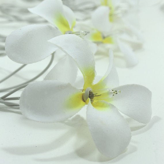 1 Set of 20 LED White Frangipani Flower Battery String Lights Christmas Gift Home Wedding Beach Party Decoration Outdoor Table Centrepiece - RnR Galore