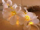 1 Set of 20 LED White Frangipani Flower Battery String Lights Christmas Gift Home Wedding Beach Party Decoration Outdoor Table Centrepiece - RnR Galore