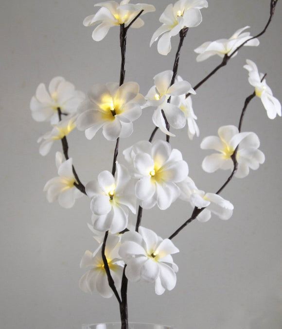 1 Set of 50cm H 20 LED White Frangipani Tree Branch Stem Fairy Light Wedding Event Party Function Table Vase Centrepiece Decoration - RnR Galore