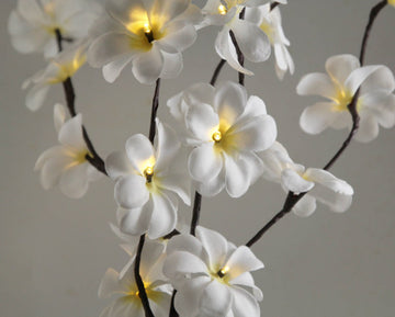 1 Set of 50cm H 20 LED White Frangipani Tree Branch Stem Fairy Light Wedding Event Party Function Table Vase Centrepiece Decoration - RnR Galore