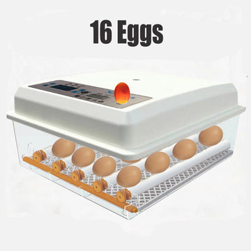 16 egg incubator fully automatic digital thermostat chicken eggs poultry - RnR Galore
